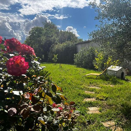 Gite De L'Olivier Nyons Kültér fotó